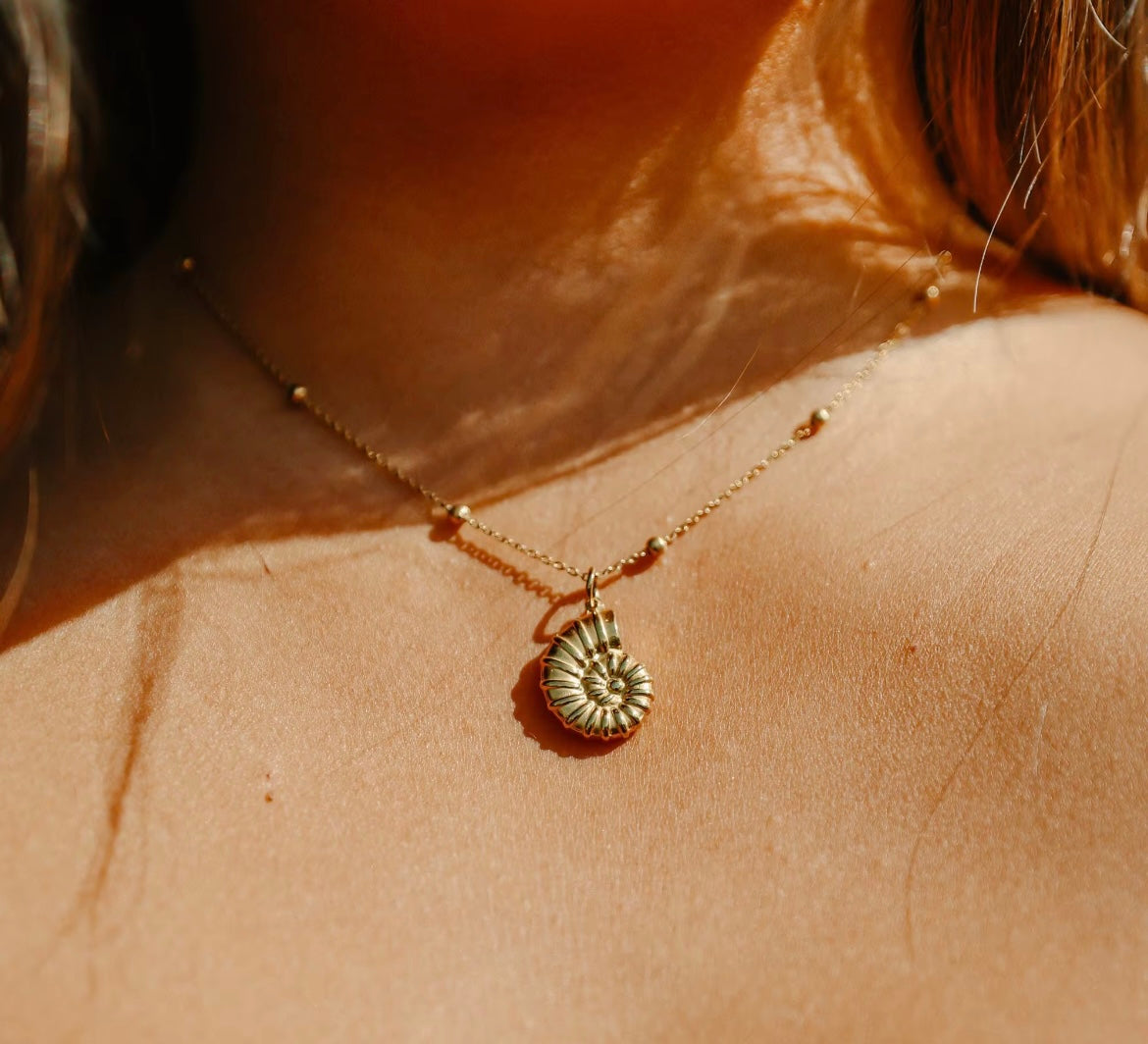 Seashell necklace